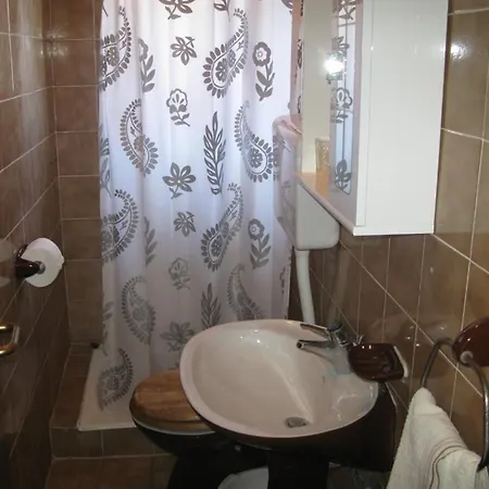 Apartament House Branka